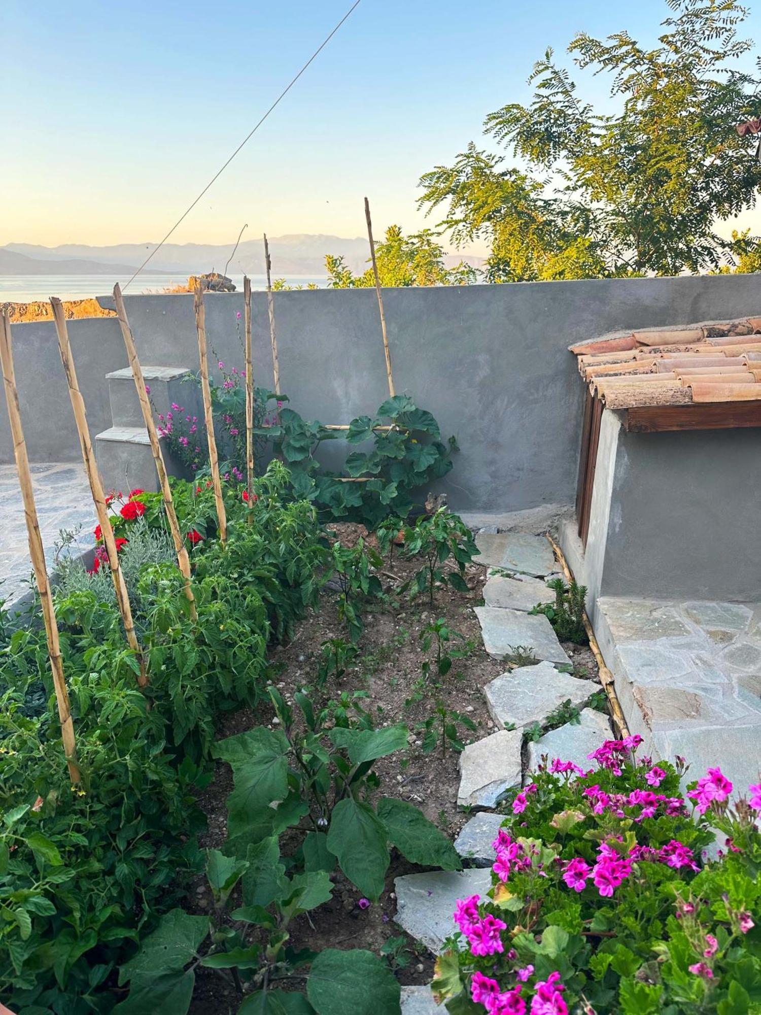 Fteri Stone House In Platanos, Akrata 아파트 외부 사진